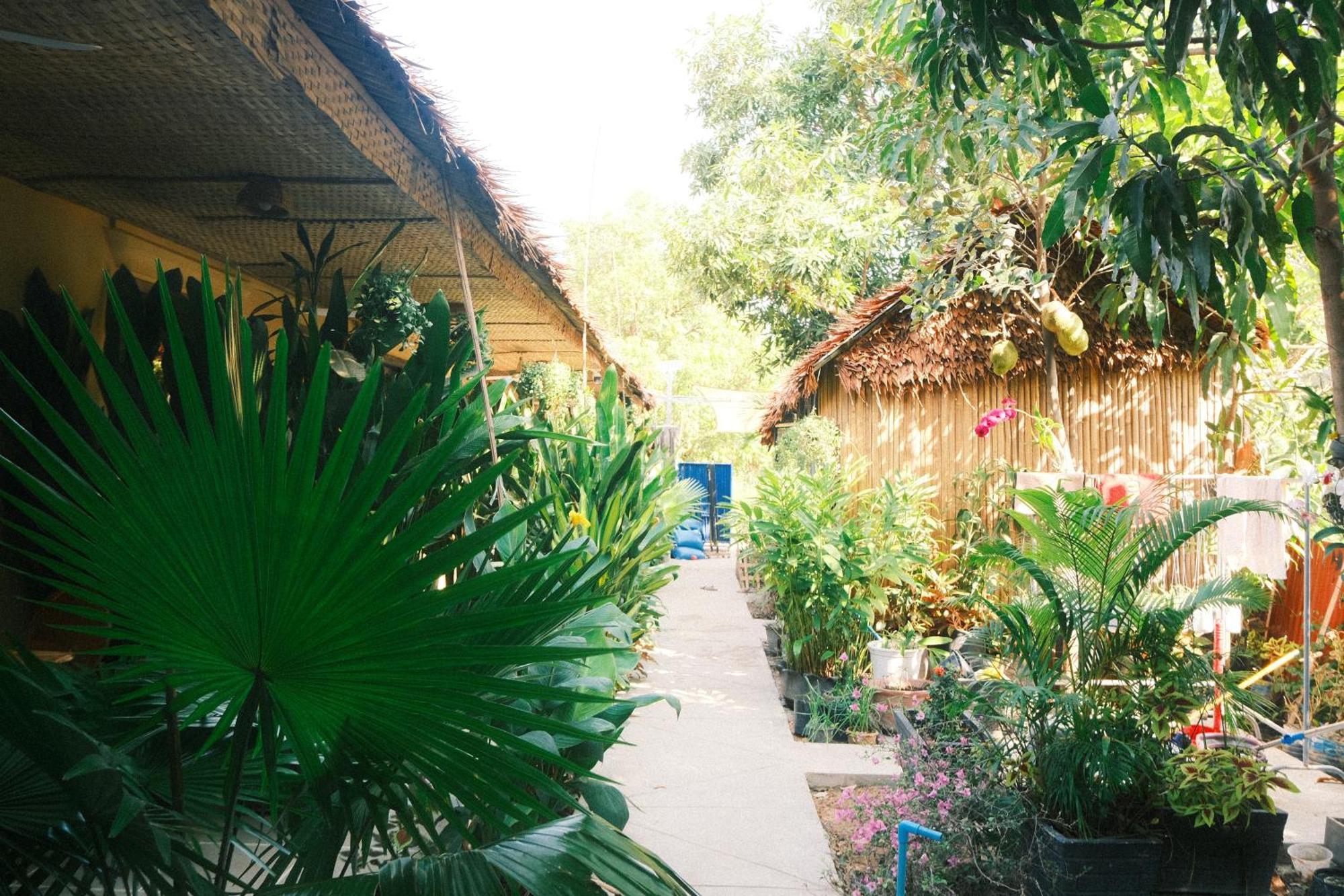Siem Reap Homesteading Экстерьер фото