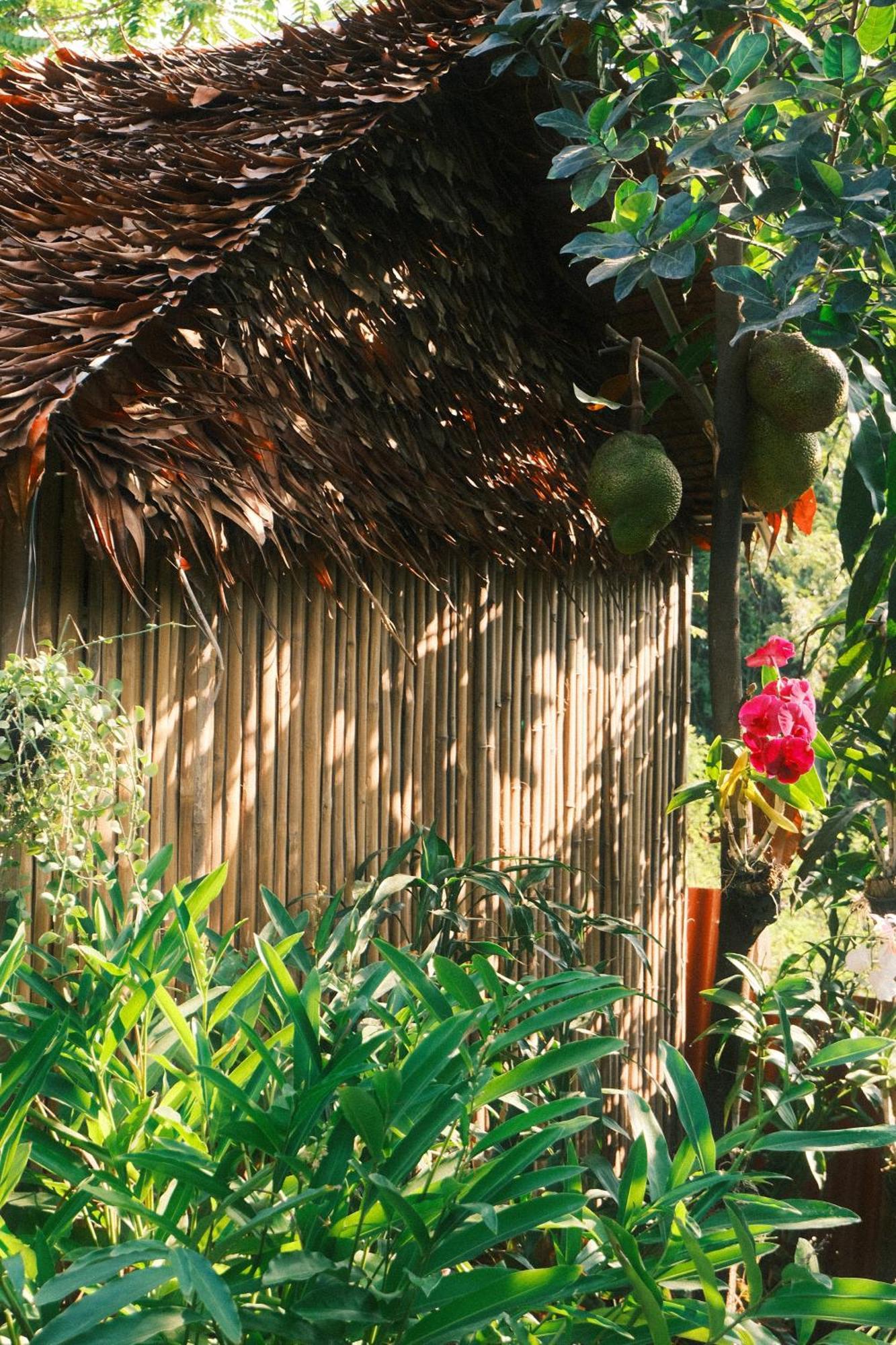 Siem Reap Homesteading Экстерьер фото
